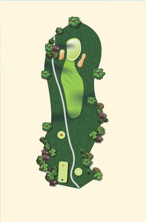 Hole 8 layout