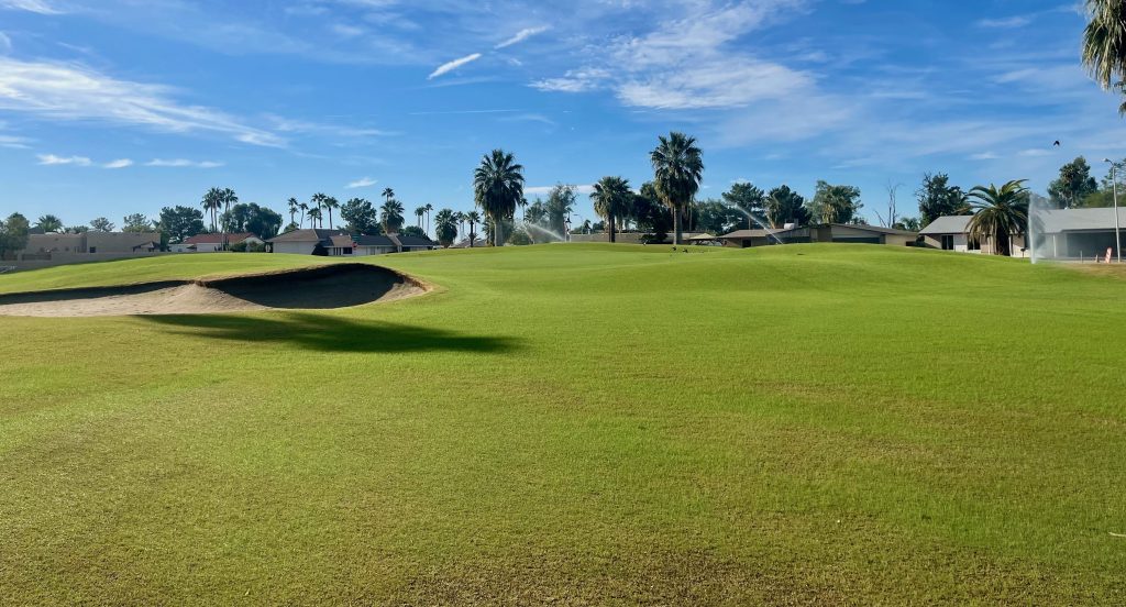 Golf Greens at Arizona Golf Resort